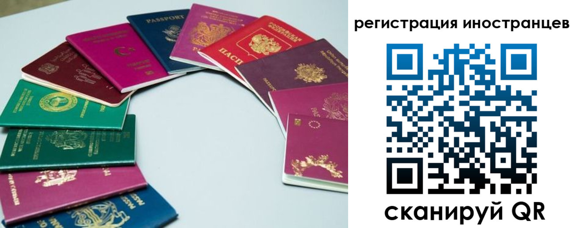 регистрация в Владимире